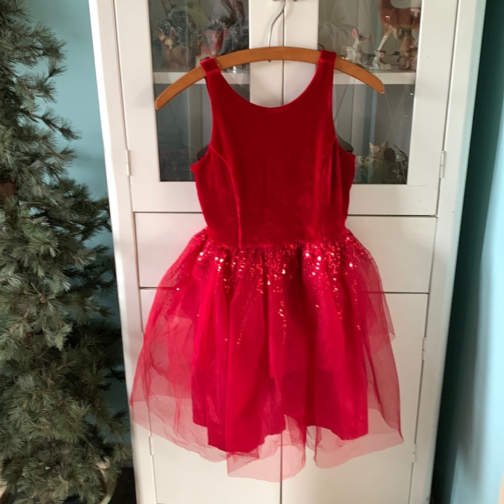 Pink & Violet sz L 10/12 velvet fluffy dress nwt